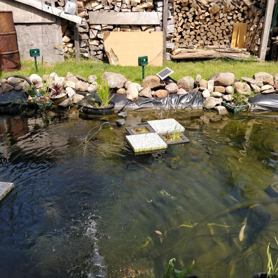 Gaestehaus Am Teich Raben Steinfeld Εξωτερικό φωτογραφία