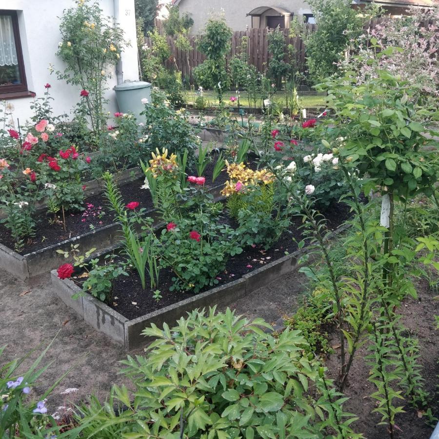 Gaestehaus Am Teich Raben Steinfeld Εξωτερικό φωτογραφία